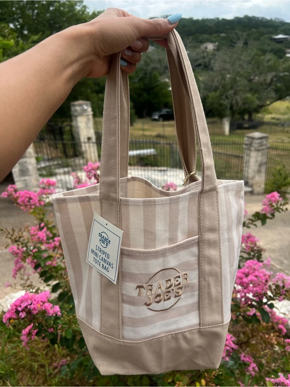 Trader Joe’s Canvas Stripe Tote Bag in Beige & White